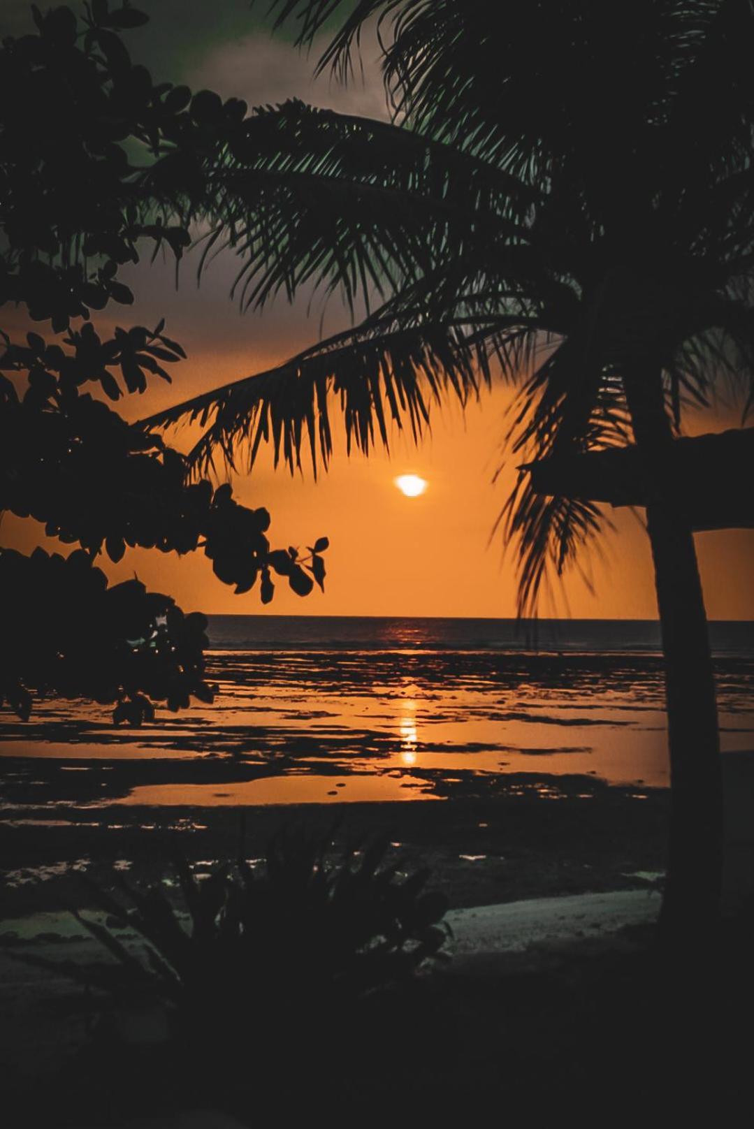 Sumatra Surf Resort Biha 외부 사진